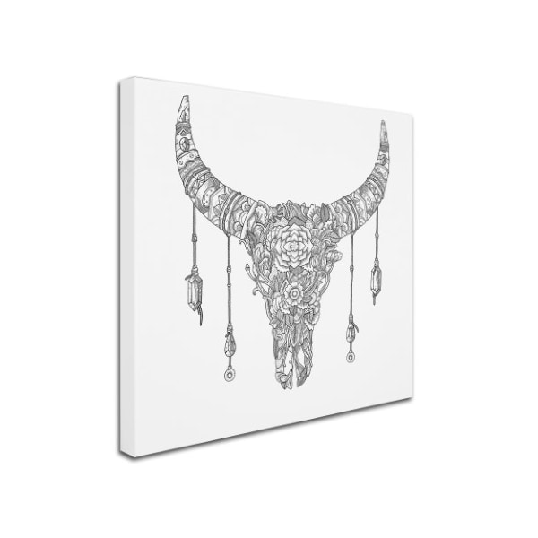 Filippo Cardu 'Buffalo Skull' Canvas Art,24x24